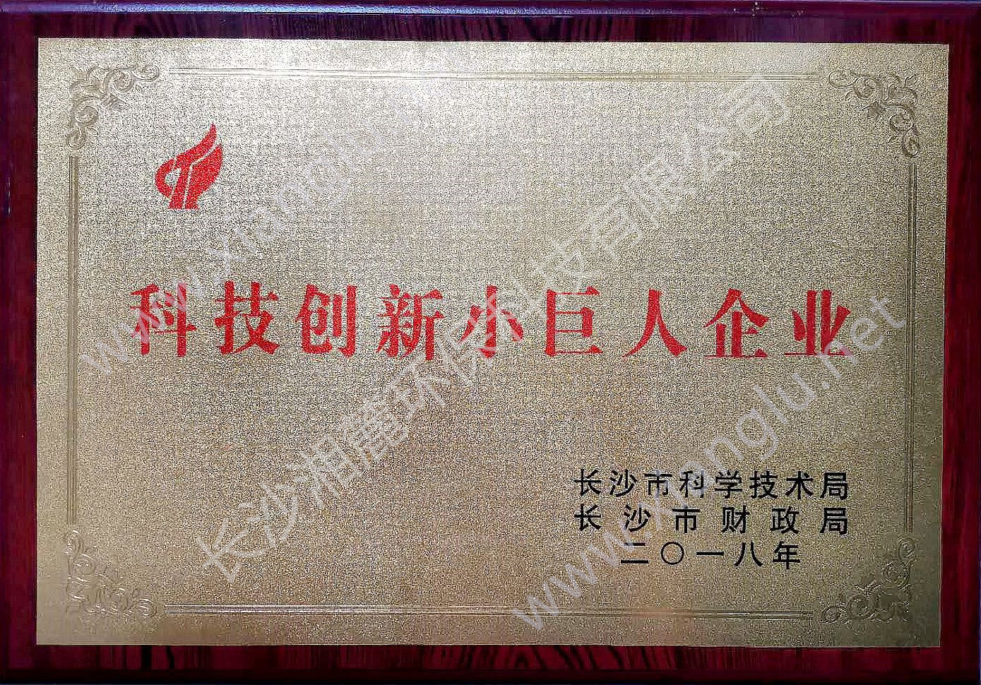 科技創(chuàng)新小巨人企業(yè)