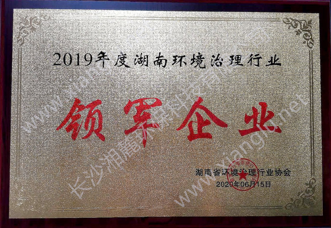 領(lǐng)軍企業(yè)