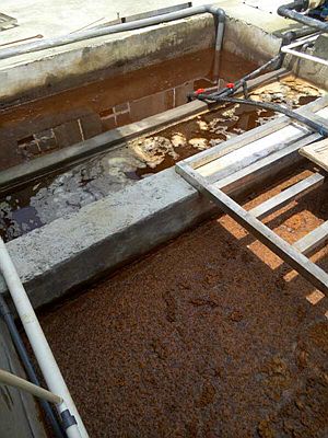 長沙湘麓環?？萍加邢薰?長沙湘麓臭氧機,長沙食品廠臭氧消毒機,長沙臭氧發生器,污水處理臭氧設備